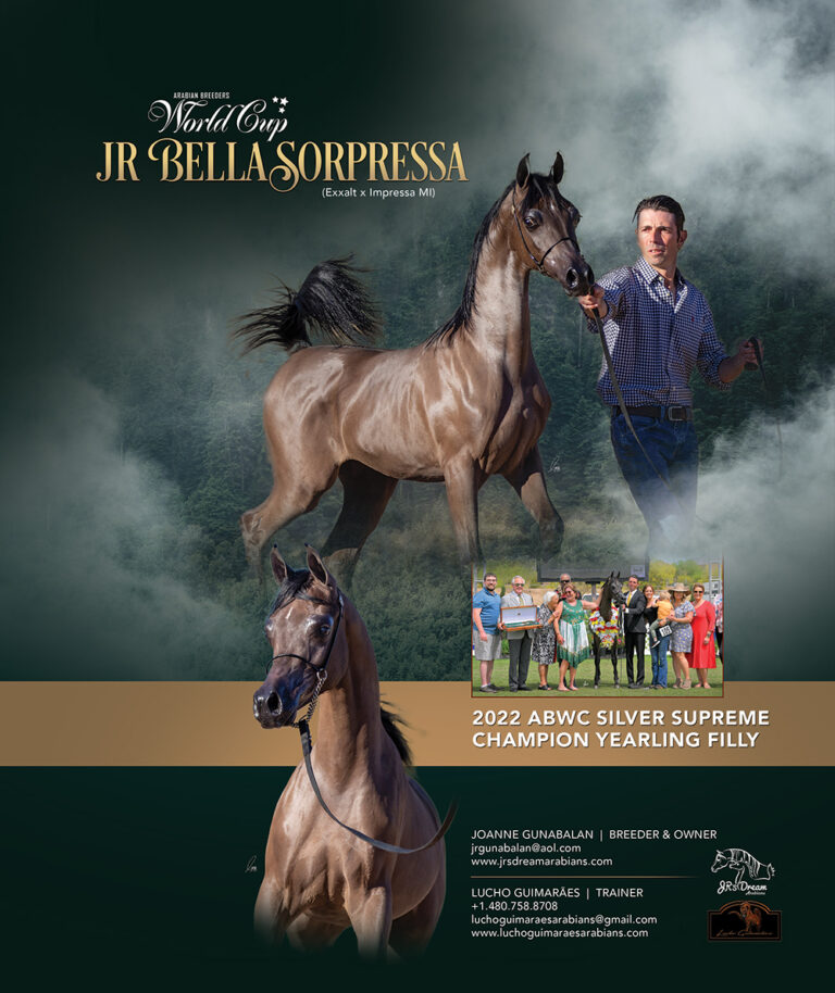 JR Bella Sorpressa thumbnail picture