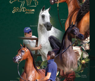 Jrs Dream at ANBF thumbnail picture