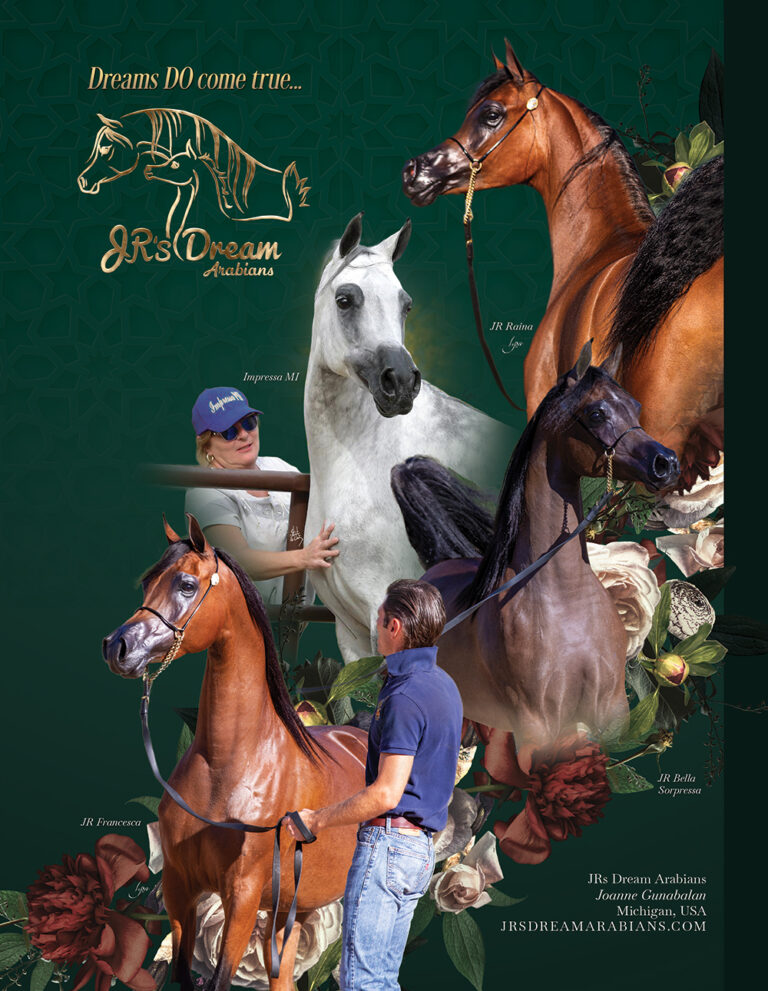 Jrs Dream at ANBF thumbnail picture