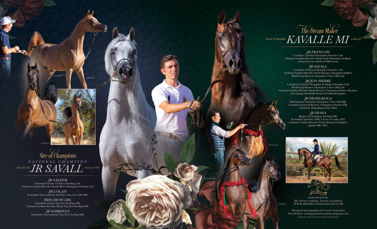 The Sire of Champions & The Dream Maker… thumbnail picture